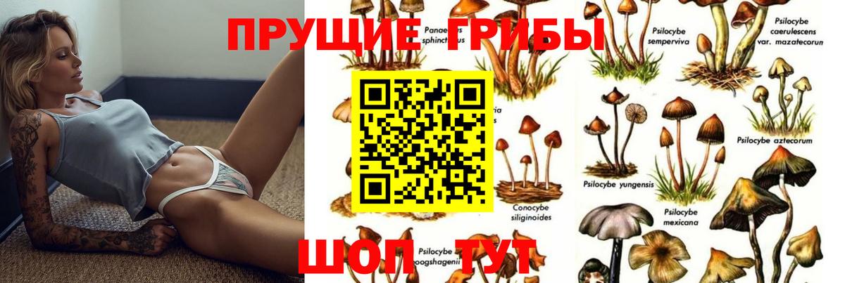 Псилоцибиновые грибы Magic Shrooms Долгопрудный